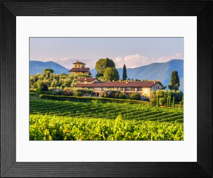 Framed Print : Landscapes and vineyards of the Franciacorta at sunset in Brescia province Framed Print : Landscapes and vineyards of the Franciacorta at sunset in Brescia province
