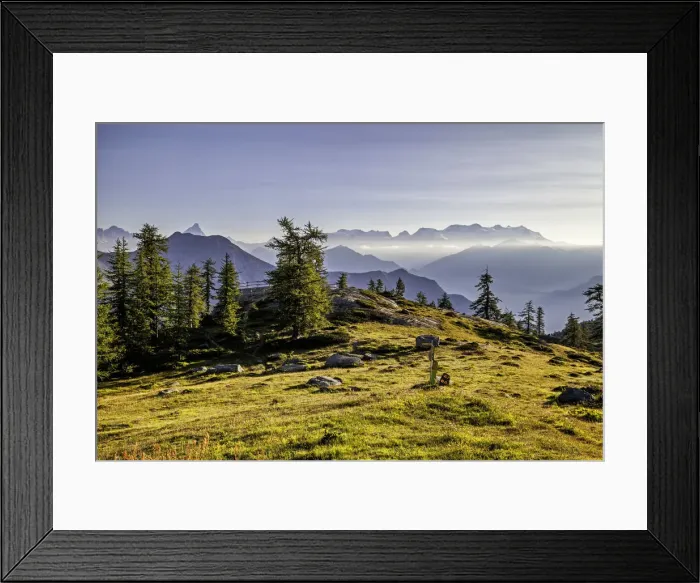 Framed Print : View of Mont Avic Park at sunrise, Aosta province, Valle D Aosta, Italy, Europe