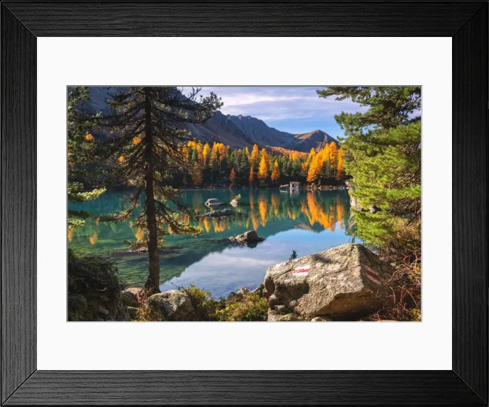 Framed Print : Autumn reflections at Saoseo Lake, Poschiavo Valley, Canton of Graubuenden Switzerland Framed Print : Autumn reflections at Saoseo Lake, Poschiavo Valley, Canton of Graubuenden Switzerland