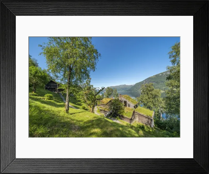 Framed Print : Old farms and huts with grass roof on shore of lake Jolstravatnet, Astruptunet, Jolster Framed Print : Old farms and huts with grass roof on shore of lake Jolstravatnet, Astruptunet, Jolster