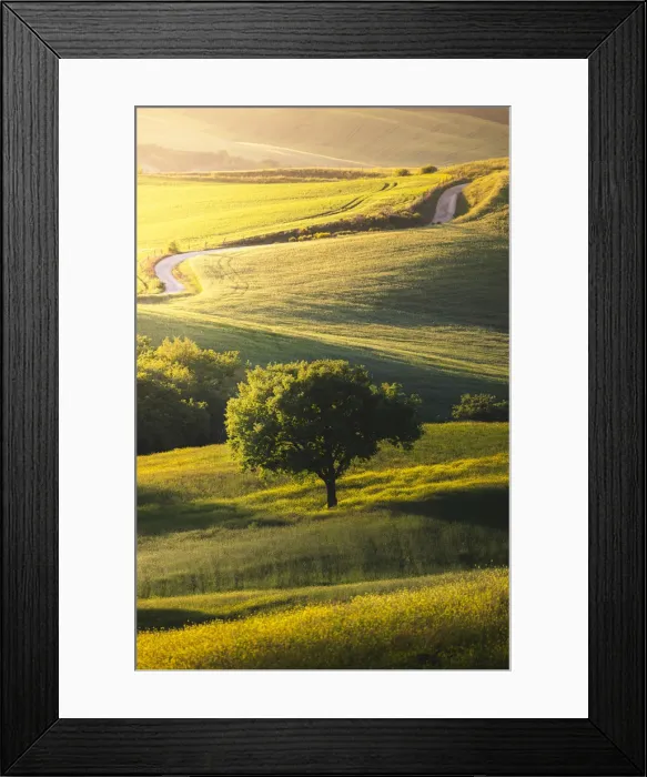 Framed Print : Countryside with hills and trees between Pienza and San Quirico d Orcia;Val d Framed Print : Countryside with hills and trees between Pienza and San Quirico d Orcia;Val d