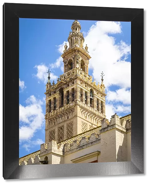 Seville cathedral - Giralda tower. Seville, Andalucia, Spain