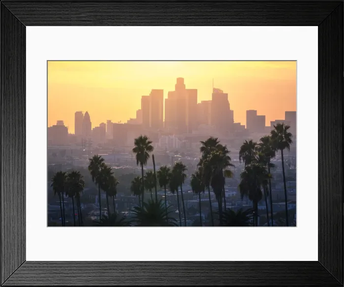Framed Print : Los Angeles Downtown and palm trees at sunset. This is a classic view of the city of Framed Print : Los Angeles Downtown and palm trees at sunset. This is a classic view of the city of