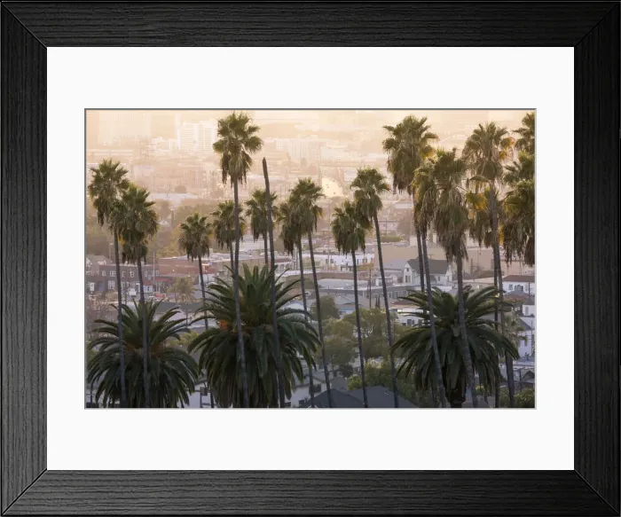 Framed Print : Los Angeles Downtown and palm trees at sunset. This is a classic view of the city of Framed Print : Los Angeles Downtown and palm trees at sunset. This is a classic view of the city of