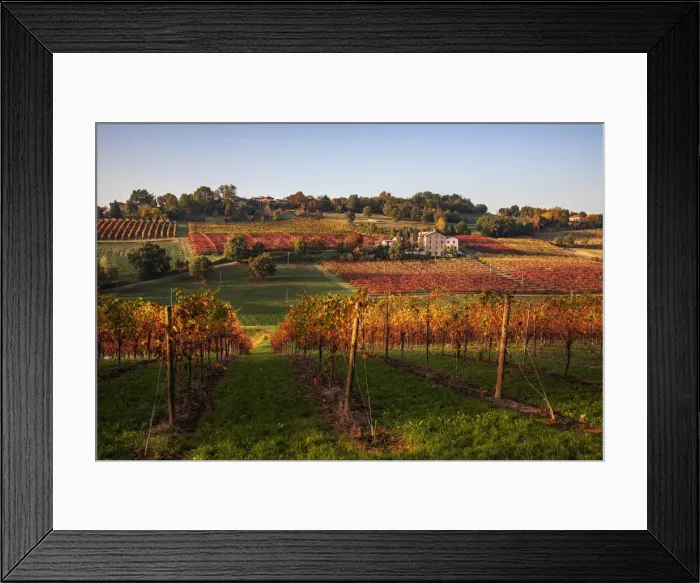 Framed Print : Levizzano Rangone scenery with vineyards, Levizzano Rangone Framed Print : Levizzano Rangone scenery with vineyards, Levizzano Rangone