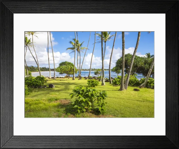 Framed Print : Lydgate State Park, Kauai island, Hawaii, USA Framed Print : Lydgate State Park, Kauai island, Hawaii, USA