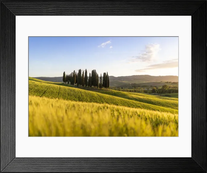 Framed Print : San Quirico d Orcia, Val d Orcia, Siena province, Tuscany, Italy Framed Print : San Quirico d Orcia, Val d Orcia, Siena province, Tuscany, Italy