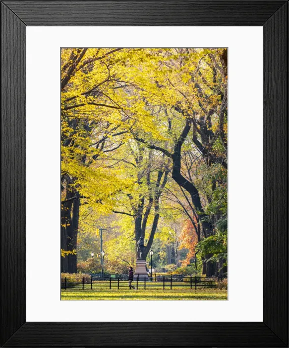 Framed Print : Central Park during autumn, Manhattan, New York, Usa (MR) Framed Print : Central Park during autumn, Manhattan, New York, Usa (MR)