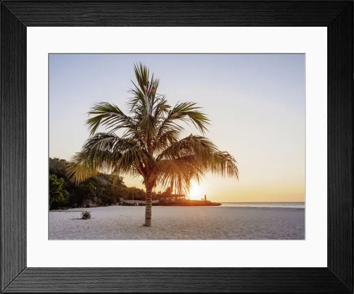Framed Print : Lone Palm Tree at Guardalavaca Beach, sunset, Holguin Province, Cuba