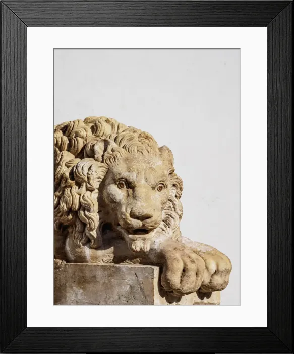 Framed Print : Lion Sculpture at the entrance to the Nuestra Senora de la Asuncion Cathedral Framed Print : Lion Sculpture at the entrance to the Nuestra Senora de la Asuncion Cathedral