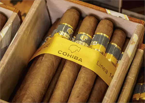 Cohiba Cigars, Tienda del Habano, Cigar Store, La Habana Vieja, Havana