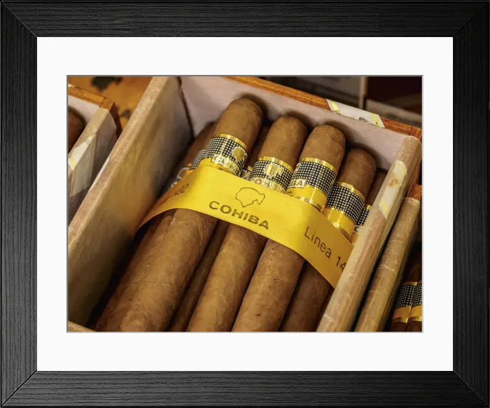 Framed Print : Cohiba Cigars, Tienda del Habano, Cigar Store, La Habana Vieja, Havana