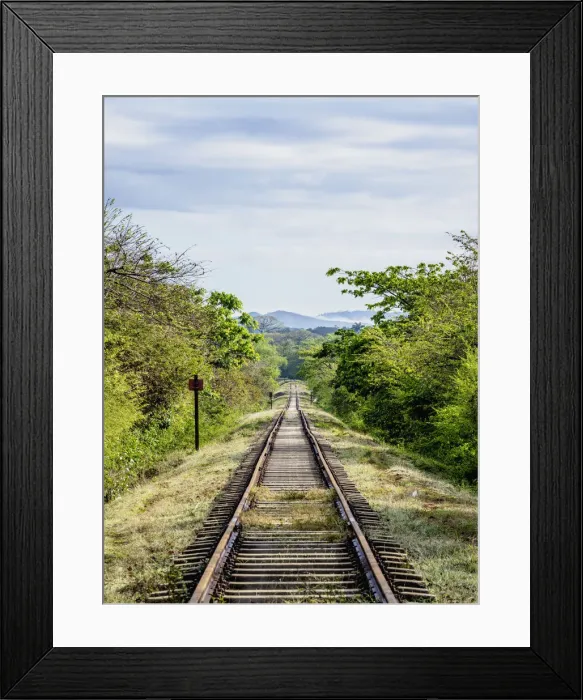 Framed Print : Railroad tracks at Valle de los Ingenios, Sancti Spiritus Province, Cuba Framed Print : Railroad tracks at Valle de los Ingenios, Sancti Spiritus Province, Cuba