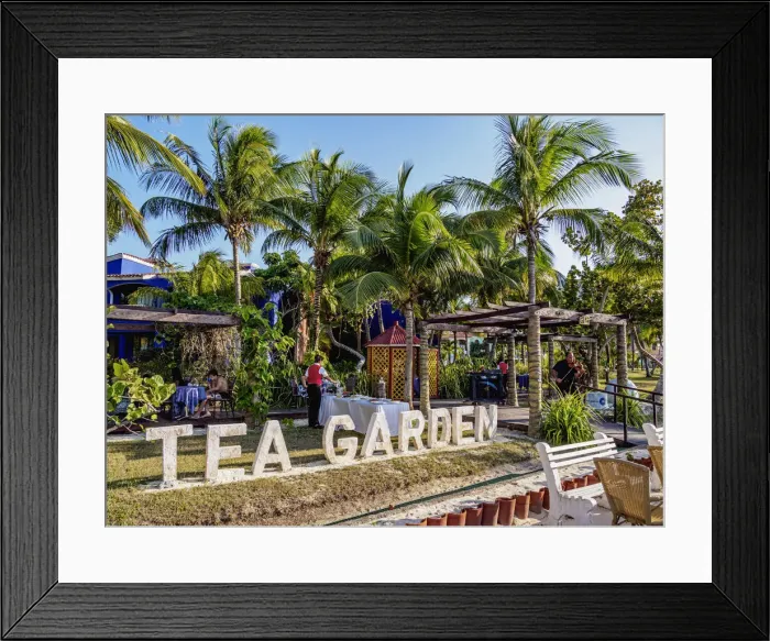Framed Print : Tea Garden Cafe, Guardalavaca, Holguin Province, Cuba Framed Print : Tea Garden Cafe, Guardalavaca, Holguin Province, Cuba