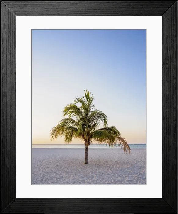 Framed Print : Lone Palm Tree at Guardalavaca Beach, sunset, Holguin Province, Cuba Framed Print : Lone Palm Tree at Guardalavaca Beach, sunset, Holguin Province, Cuba
