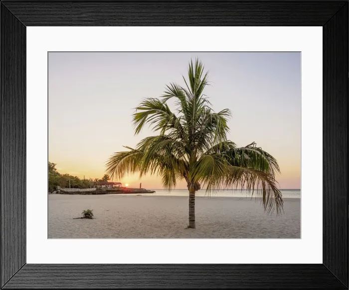 Framed Print : Lone Palm Tree at Guardalavaca Beach, sunset, Holguin Province, Cuba Framed Print : Lone Palm Tree at Guardalavaca Beach, sunset, Holguin Province, Cuba