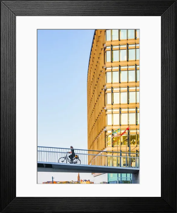 Framed Print : A woman riding a bike on a suspended bridge in Copenhagen at sunset, Denmark Framed Print : A woman riding a bike on a suspended bridge in Copenhagen at sunset, Denmark