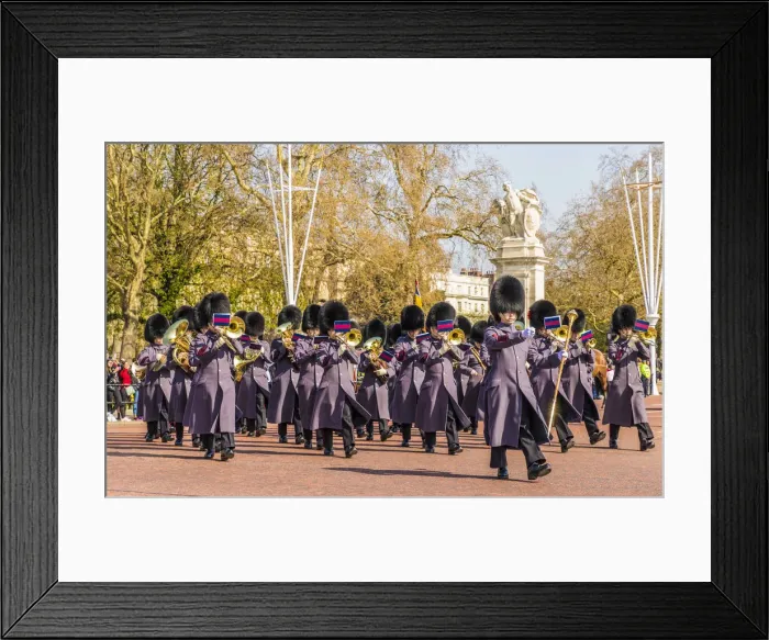 Framed Print : Queens Guards, London, England, UK Framed Print : Queens Guards, London, England, UK