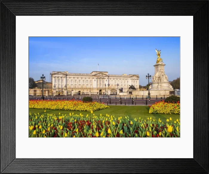 Framed Print : United Kingdom, England, London, Buckingham Palace, facade of the palace in Spring Framed Print : United Kingdom, England, London, Buckingham Palace, facade of the palace in Spring
