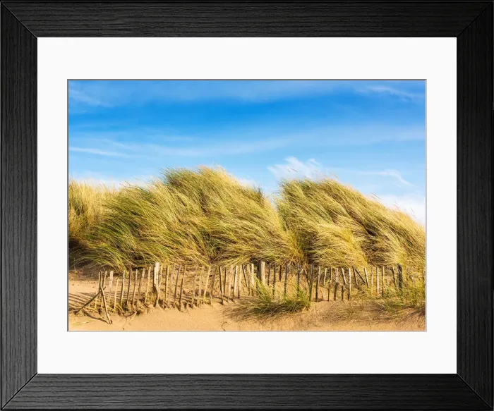 Framed Print : Sand dunes, Camber Sands, East Sussex, England Framed Print : Sand dunes, Camber Sands, East Sussex, England