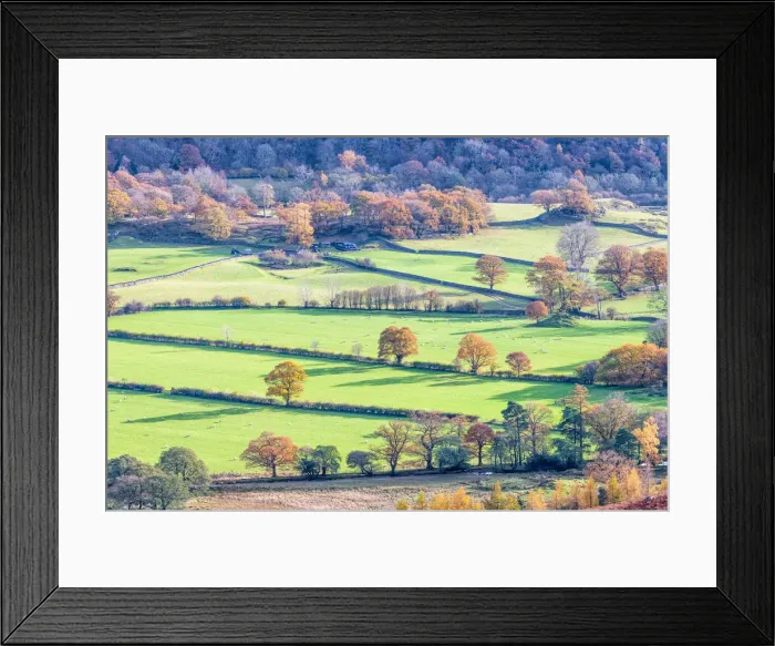 Framed Print : Borrowdale valley in autumn, near Keswick and Derwentwater, Cumbria, England