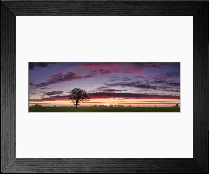Framed Print : Lone Tree at Sunrise, Norfolk, England Framed Print : Lone Tree at Sunrise, Norfolk, England