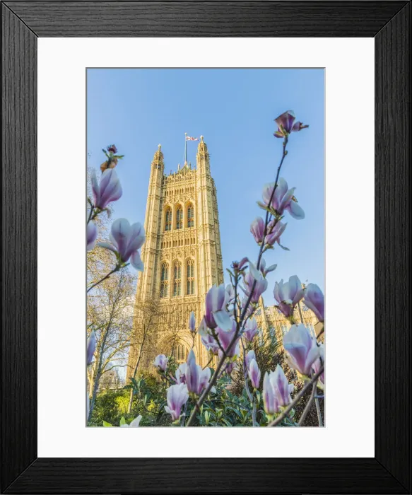 Framed Print : Victoria tower at the Palace of Westminster, a UNESCO world heritage site, London Framed Print : Victoria tower at the Palace of Westminster, a UNESCO world heritage site, London