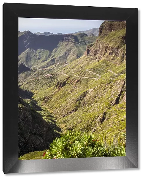 Spain, Canary Islands, Tenerife Island, Masca, elevated view of highway TF 436