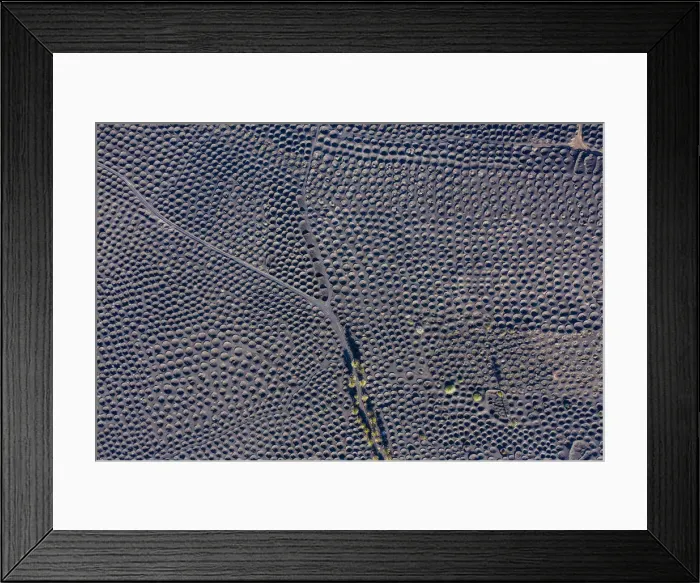 Framed Print : Spain, Canary Islands, Lanzarote, La Geria, aerial view over the Vineyards Framed Print : Spain, Canary Islands, Lanzarote, La Geria, aerial view over the Vineyards