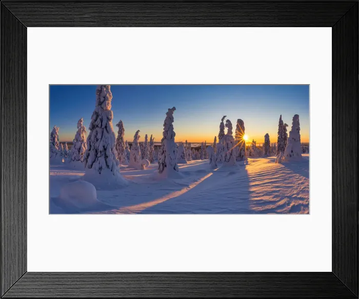 Framed Print : Sunburst Through Snow-covered Pine Trees, Riisitunturi National Park, Posio, Lapland Framed Print : Sunburst Through Snow-covered Pine Trees, Riisitunturi National Park, Posio, Lapland