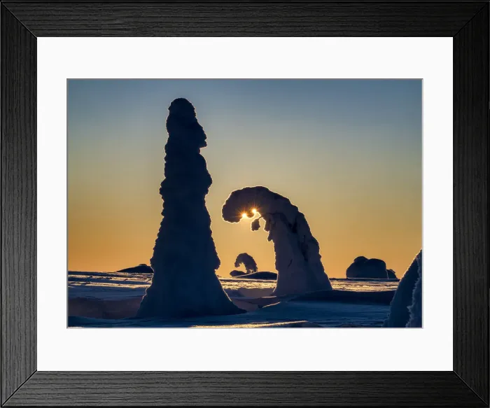 Framed Print : Sunburst Through Snow-covered Pine Trees, Riisitunturi National Park, Posio, Lapland Framed Print : Sunburst Through Snow-covered Pine Trees, Riisitunturi National Park, Posio, Lapland