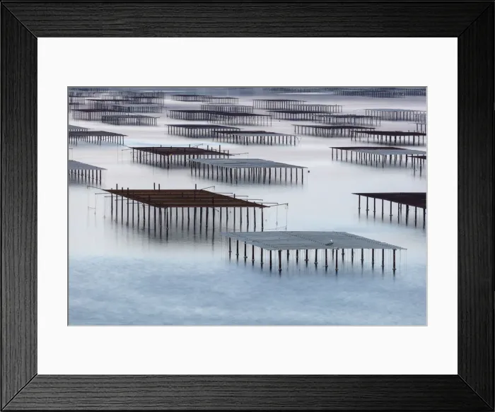 Framed Print : France, Occitanie, Herault, Bouzigues, oysters tables on the lagoon of Thau Framed Print : France, Occitanie, Herault, Bouzigues, oysters tables on the lagoon of Thau
