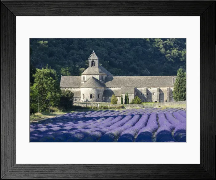 Framed Print : Europe, France, Provence-Alpes-Cote d Azur, Abbaye de Senanque with lavender field Framed Print : Europe, France, Provence-Alpes-Cote d Azur, Abbaye de Senanque with lavender field