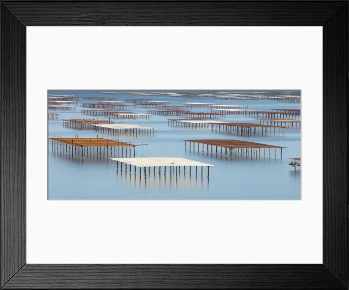 Framed Print : France; Occitanie; Herault; Bouzigues; Oyster tables on the lagoon of Thau Framed Print : France; Occitanie; Herault; Bouzigues; Oyster tables on the lagoon of Thau