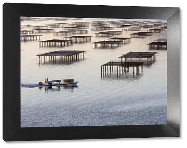 France; Occitanie; Herault; Bouzigues; a fishing boat inspects the oyster tables on the