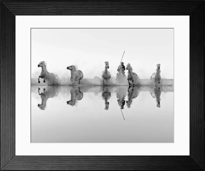 Framed Print : Europe, France, Provence-Alpes-Ca'te d Azur, Bouches-du-Rhone, Camargue Framed Print : Europe, France, Provence-Alpes-Ca'te d Azur, Bouches-du-Rhone, Camargue