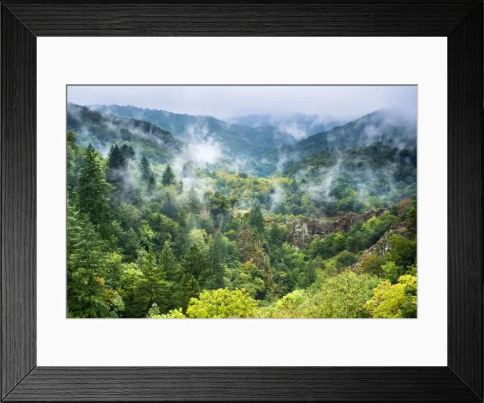 Framed Print : Fog over the Gorge de la Montane, Gimel-les-Cascades, Corraze da partement, Limousin Framed Print : Fog over the Gorge de la Montane, Gimel-les-Cascades, Corraze da partement, Limousin