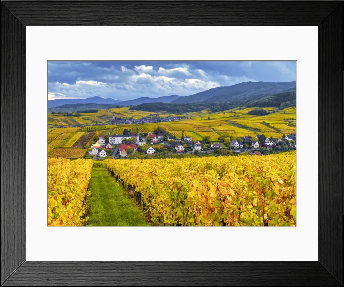 Framed Print : View over Vineyards near Riquewihr, Alsace, France