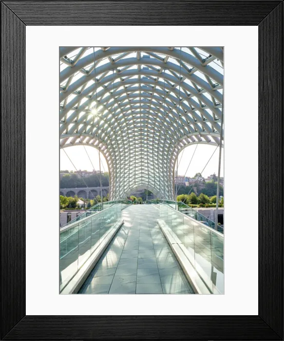 Framed Print : Tbilisi (Tiflis), Georgia