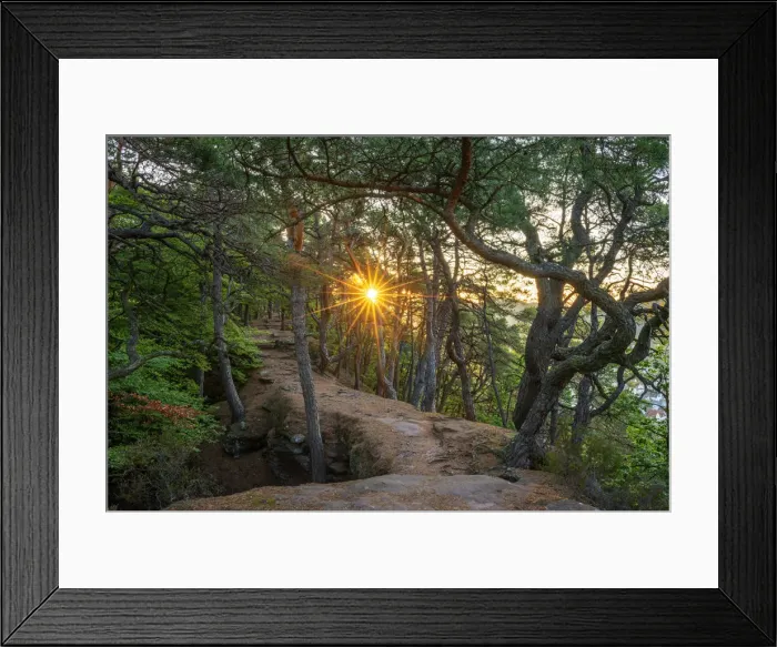 Framed Print : Sunrise on Jungfernsprung near Dahn, Palatinate forest, Wasgau, Rhineland-Palatinate Framed Print : Sunrise on Jungfernsprung near Dahn, Palatinate forest, Wasgau, Rhineland-Palatinate