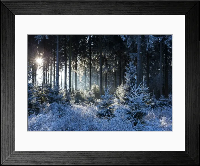 Framed Print : Winter forest near Hunsruck National Parc, Morbach, Hunsruck, Rhineland-Palatinate, Germany