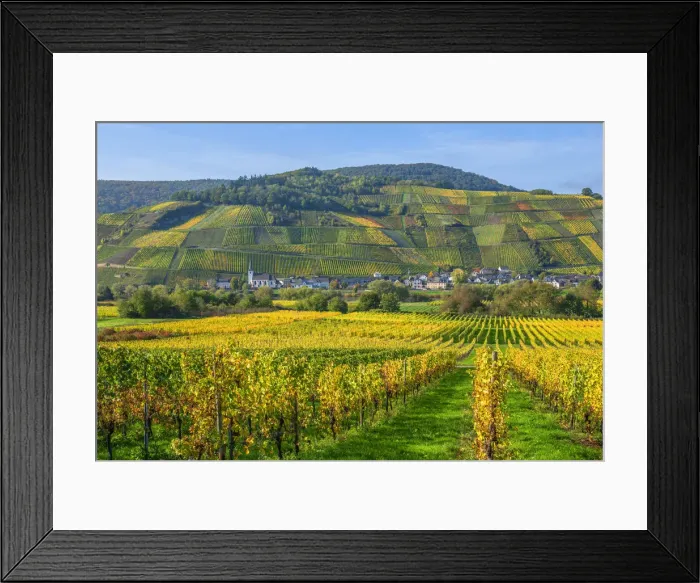 Framed Print : View on Kesten, Mosel valley, Rhineland-Palatinate, Germany Framed Print : View on Kesten, Mosel valley, Rhineland-Palatinate, Germany