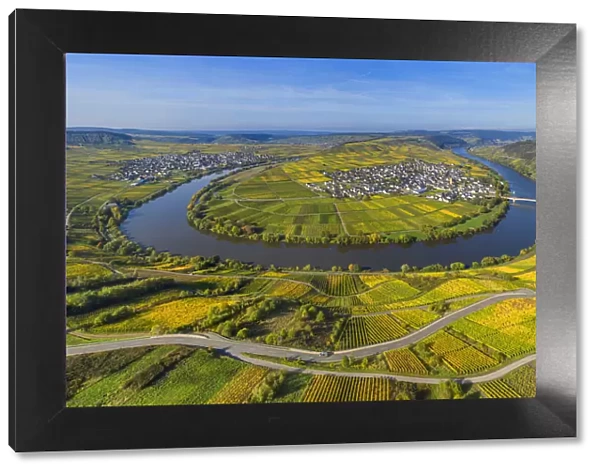Aerial view on Mosel horseshoe bend at Trittenheim, Mosel valley, Rhineland-Palatinate