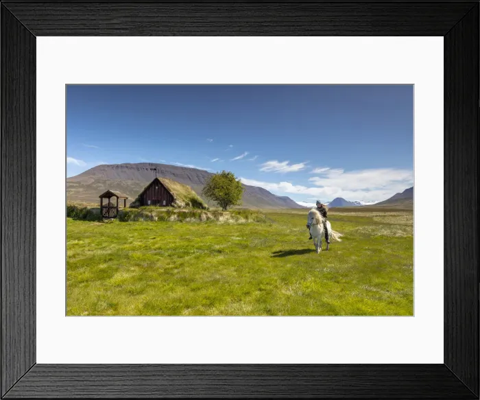 Framed Print : Iceland, North Iceland, Skagafjorður, a boy rides a white Icelandic horse past Vidimyri turf covered church Framed Print : Iceland, North Iceland, Skagafjorður, a boy rides a white Icelandic horse past Vidimyri turf covered church