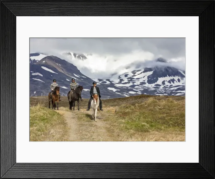Framed Print : Iceland, Akureyri, 3 people riding Icelandic horses Framed Print : Iceland, Akureyri, 3 people riding Icelandic horses
