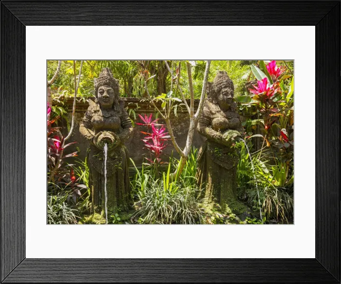 Framed Print : Indonesia, Bali, Ubud, Fountain
