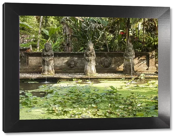 Indonesia, Bali, Ubud, Fountain; Lotus pond