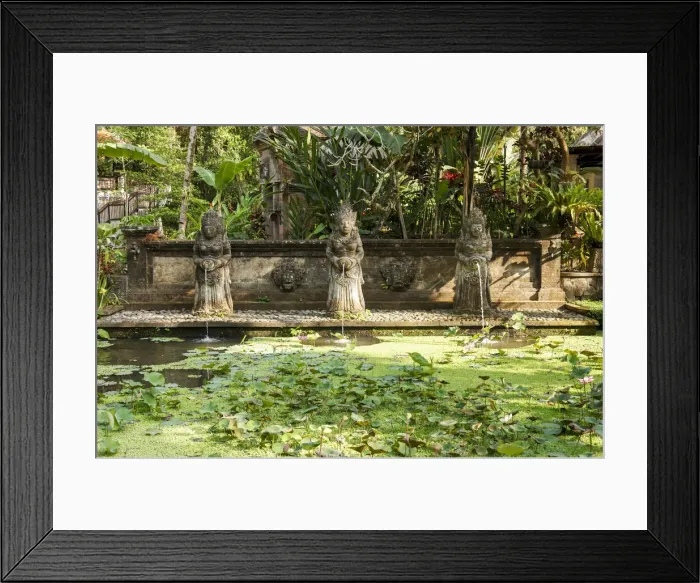 Framed Print : Indonesia, Bali, Ubud, Fountain; Lotus pond Framed Print : Indonesia, Bali, Ubud, Fountain; Lotus pond