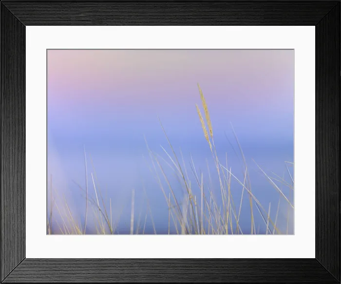 Framed Print : Ireland, Co. Donegal, Fanad, Ballymastocker bay, seagrass