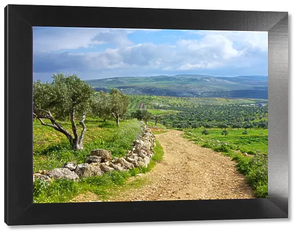 Masar Ibrahim trail from the village of Duma, Nablus Governorate, West Bank, Palestine